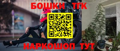 гашик Ливны
